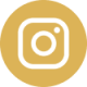 instagram-icon